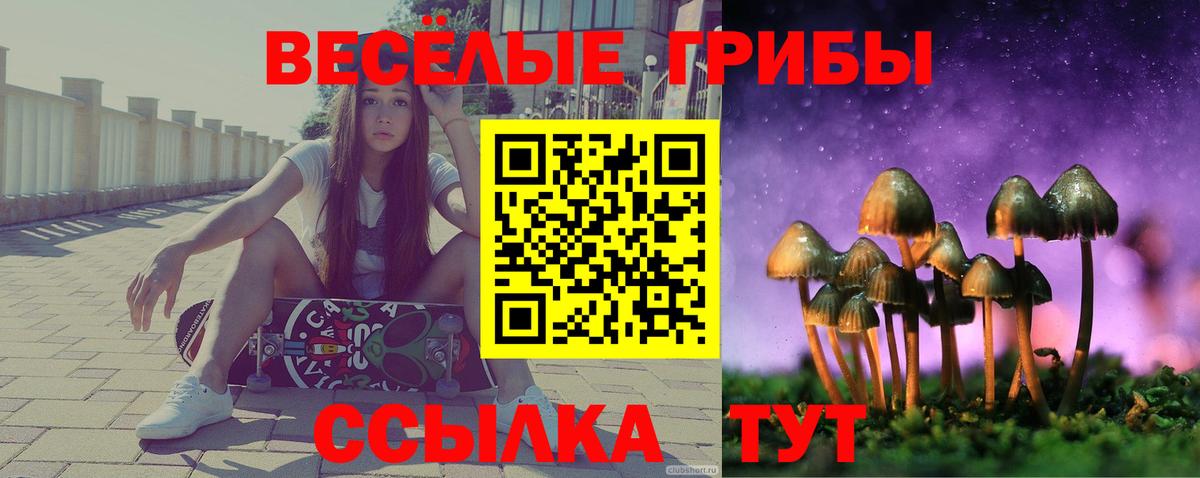 Галлюциногенные грибы ЛСД Ливны